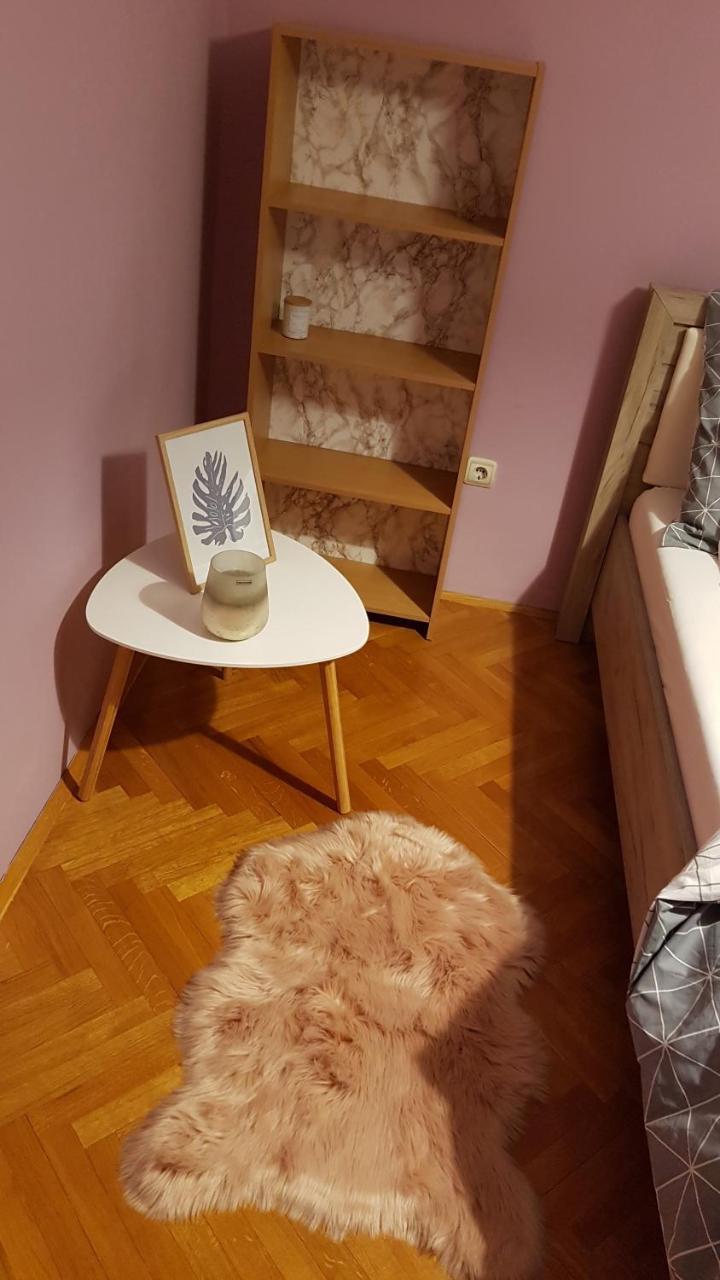 Apartment Krsta Novi Sad Dış mekan fotoğraf